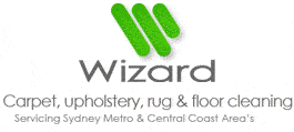 Wizard Carpet Upholstery Rug & Floor Cleaning